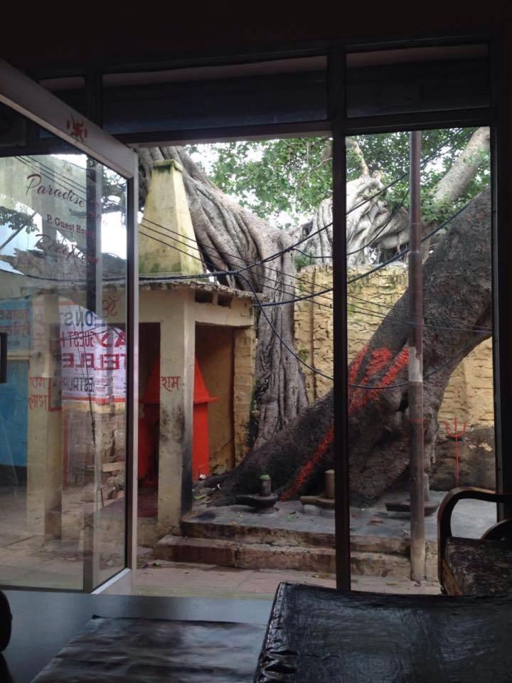 Paradise Inn Guest House Varanasi Ngoại thất bức ảnh